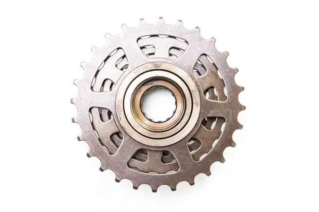 RODA LIVRE 6V - XINDU - Imagem 1