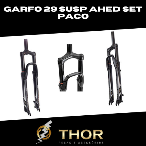 GARFO 29 SUSP AHEAD SET 28.6 - PACO
