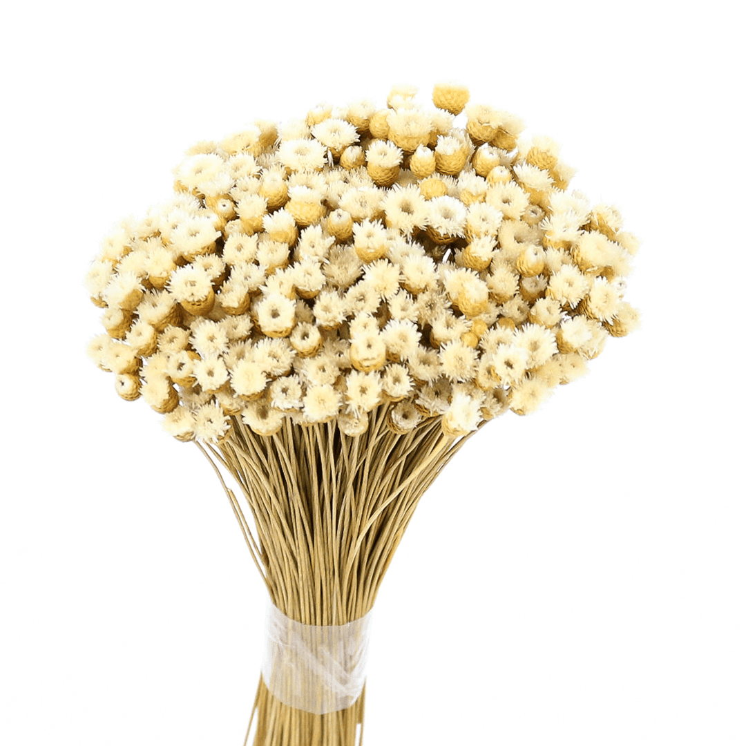 Planta Seca Jazida Bege 30cm