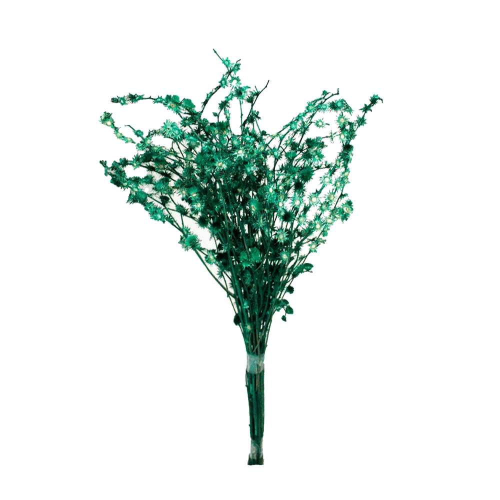 Rosinha Verde Desidratado