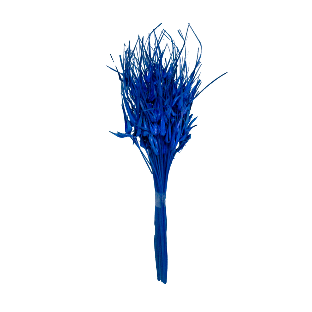 Capim Estrela Azul Desidratado