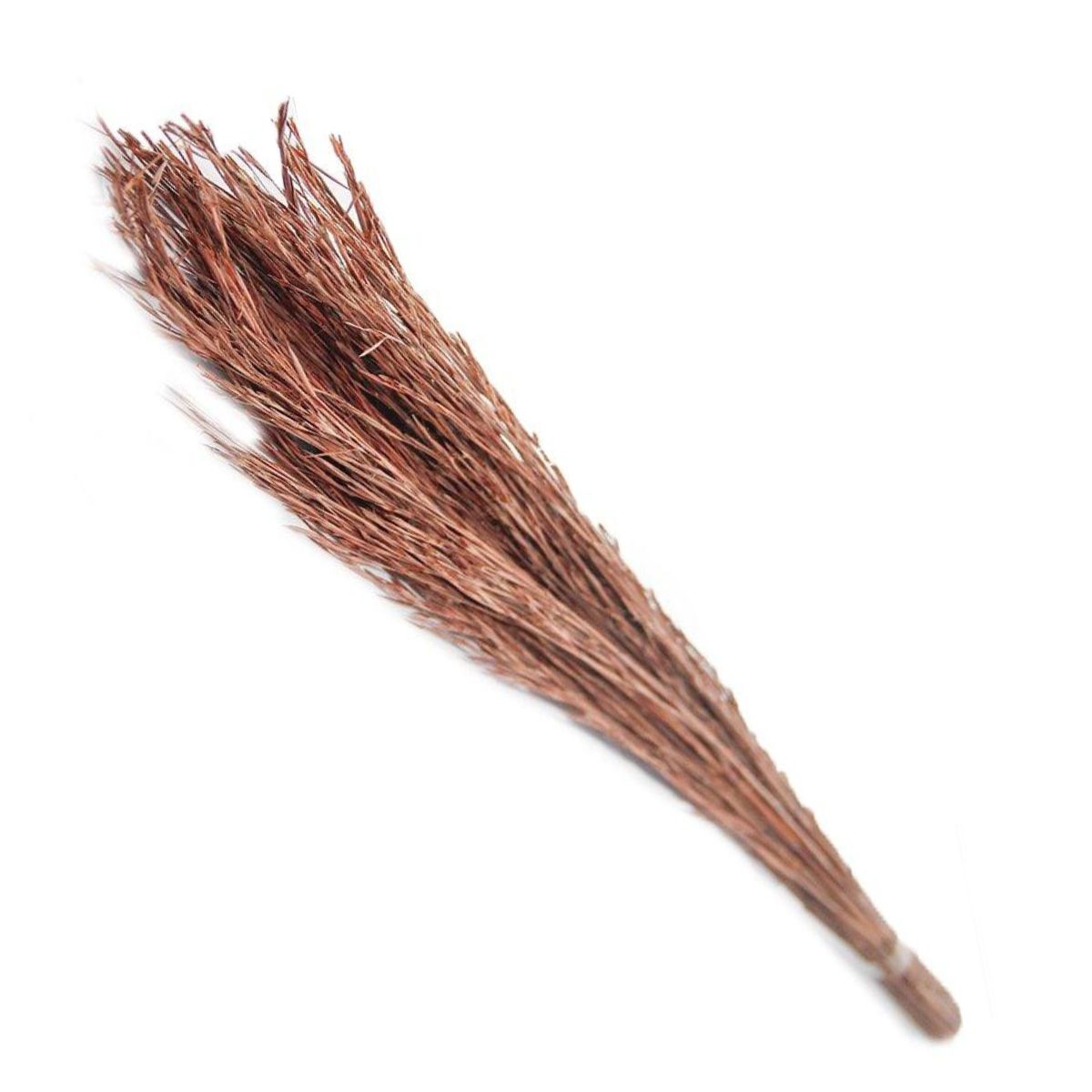 Capim Vermelho Natural Desidratado