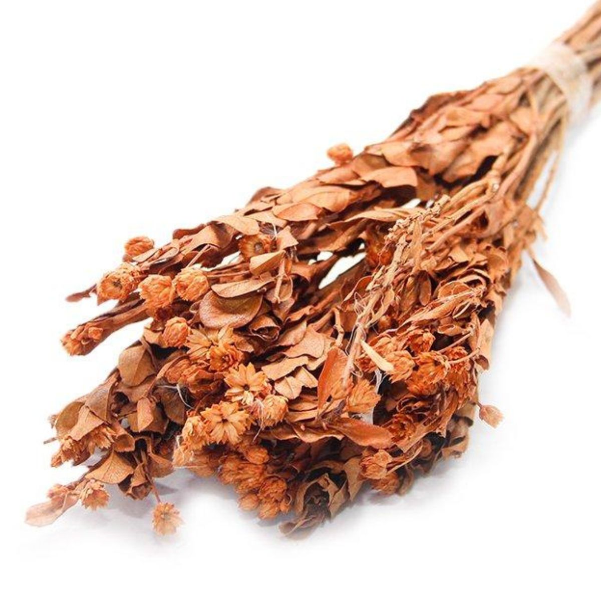 Alecrin Laranja Desidratado