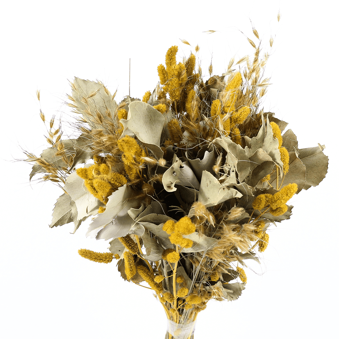Planta Seca Buquê Variado Celosia Amarela 50cm