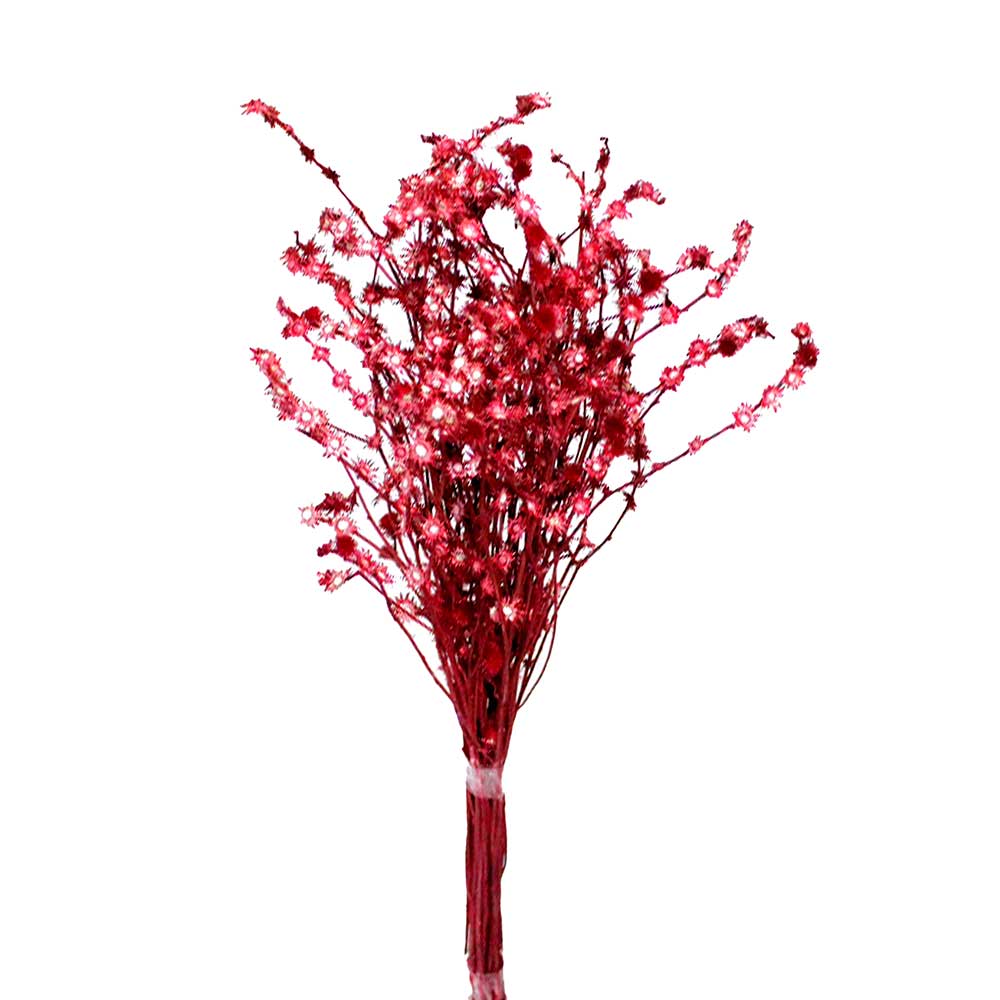 Planta Seca Rosinha Vermelho Desidratado 50cm