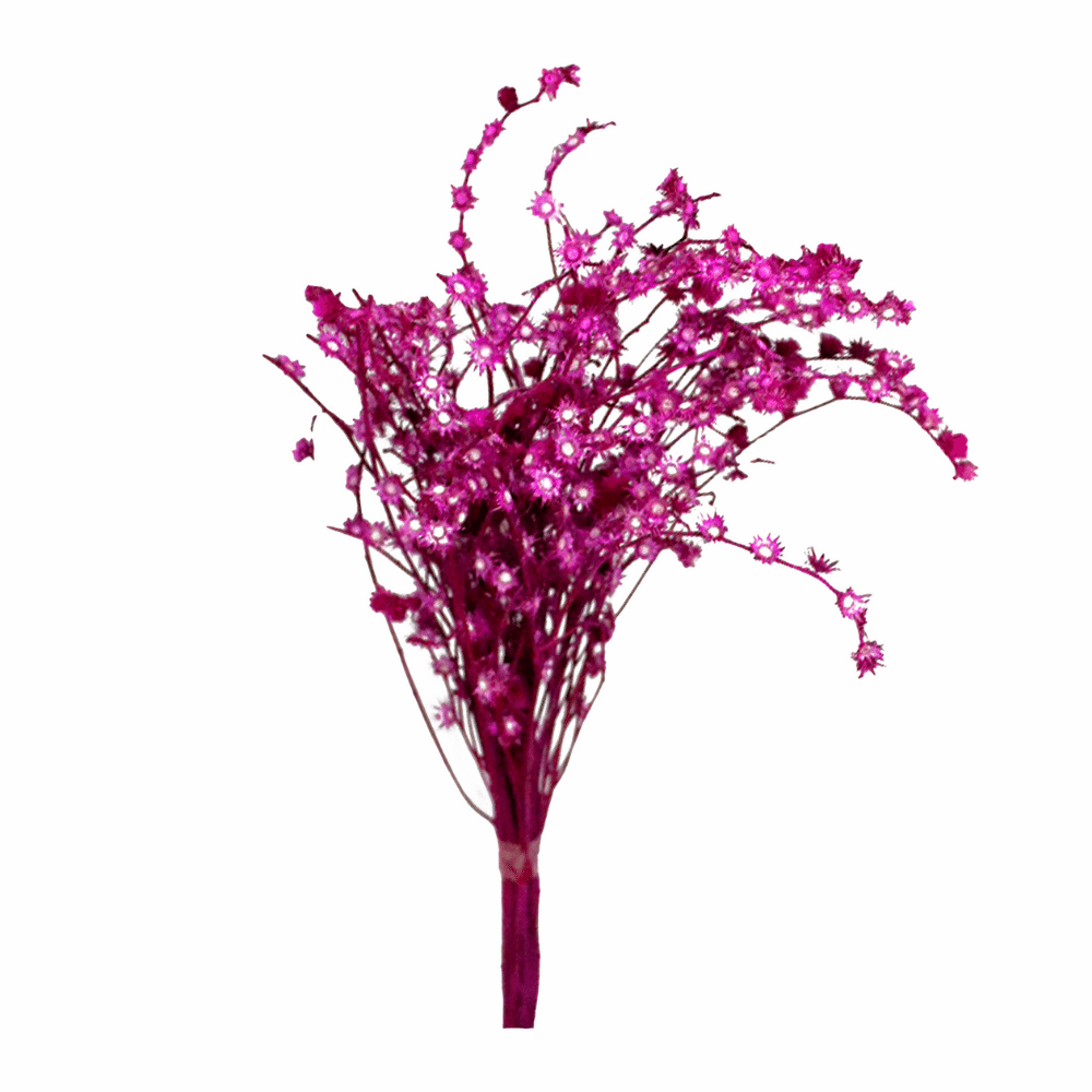 Rosinha Pink Desidratado