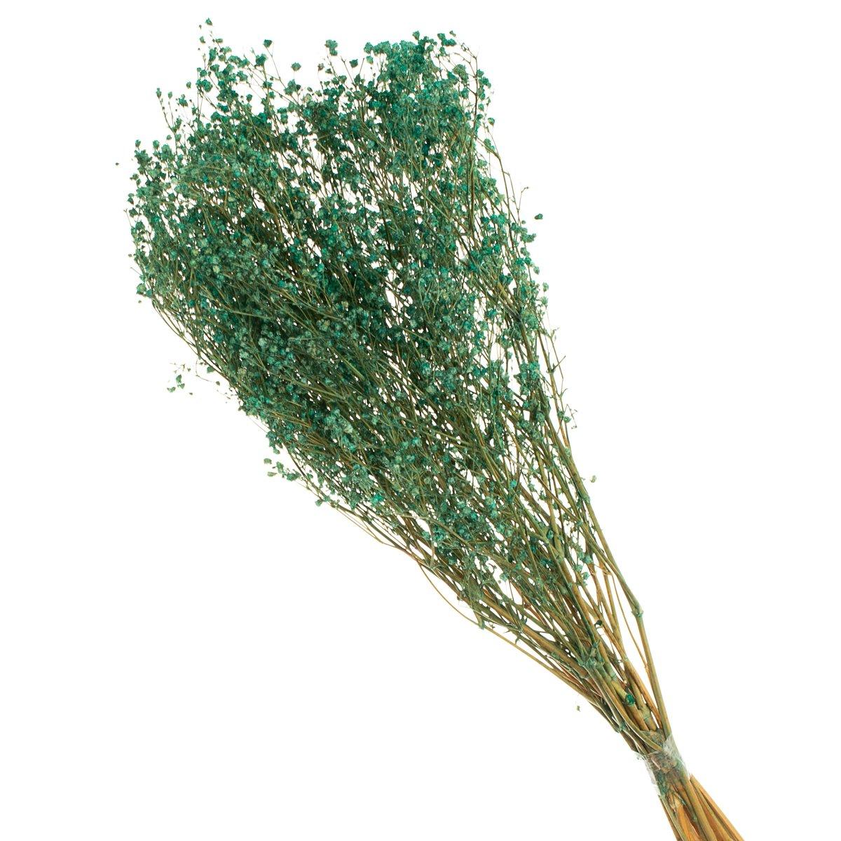 Gypsofila Verde Desidratado p/ Decoração