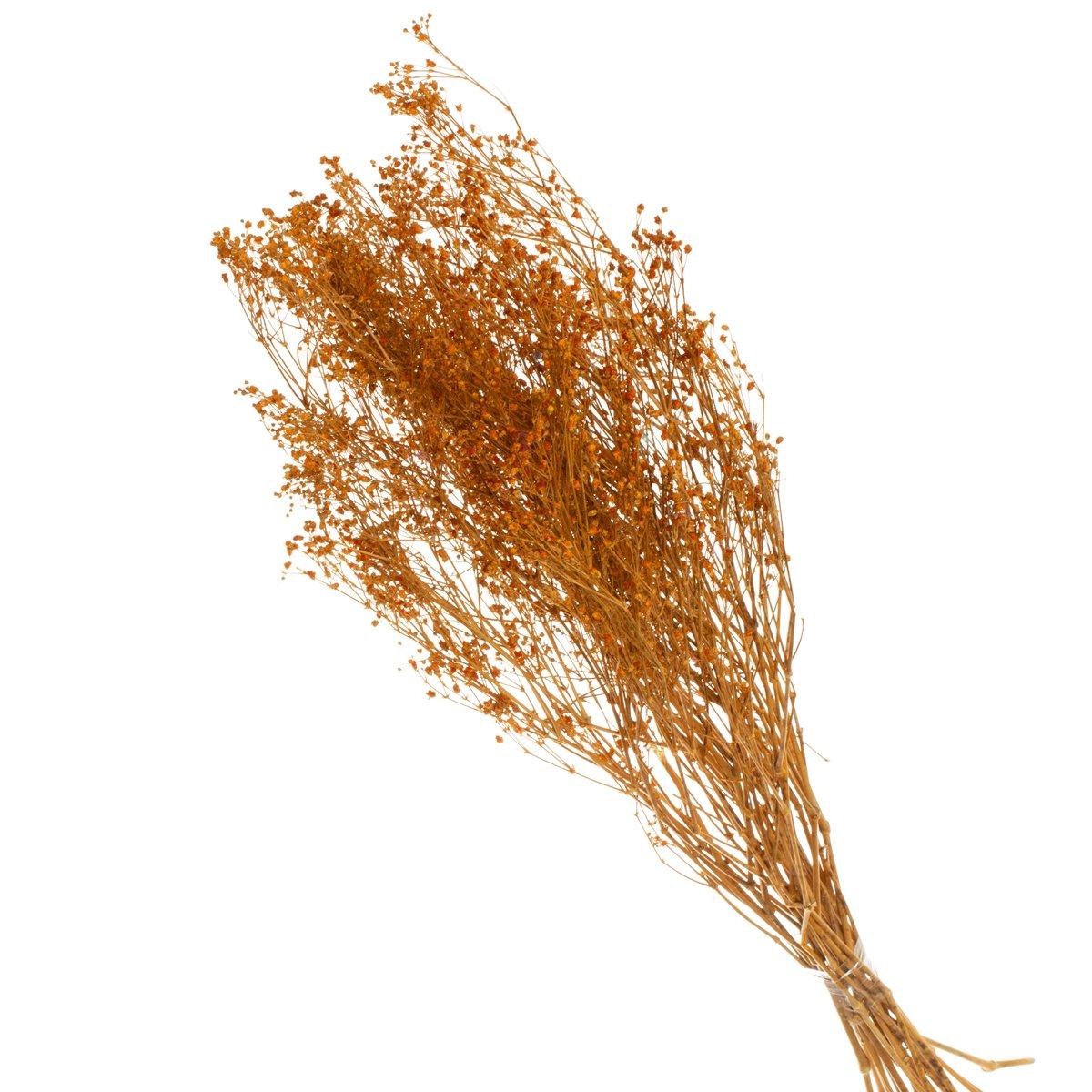 Gypsofila Laranja Desidratado p/ Decoração