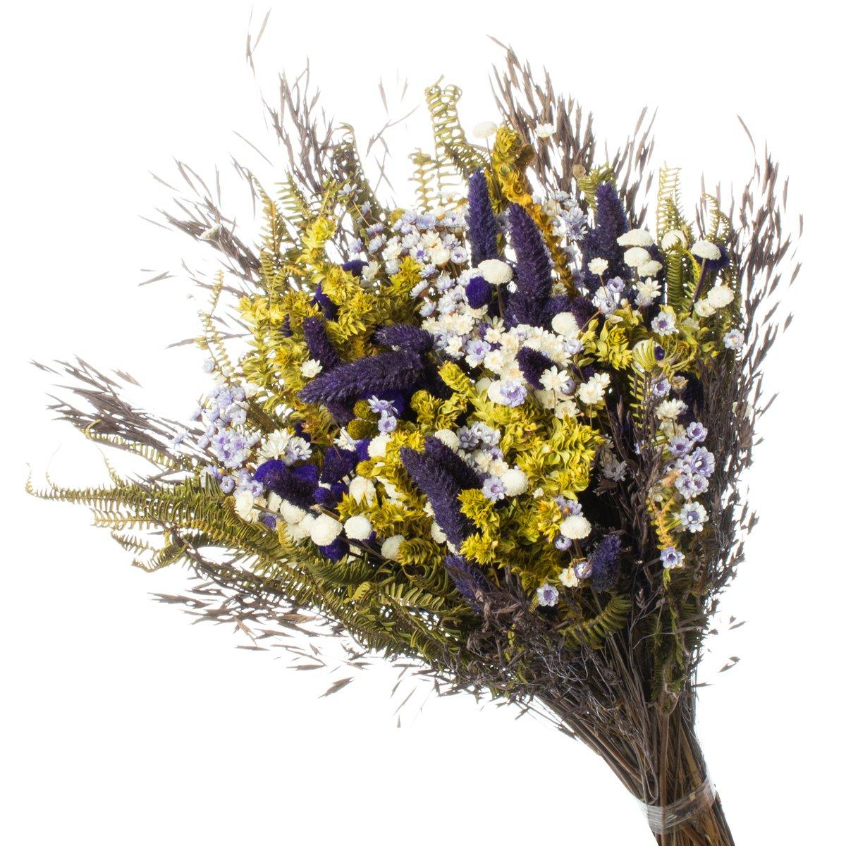 Buque de Flores Secas Rabo de Coelho Gato Roxa  Decorar