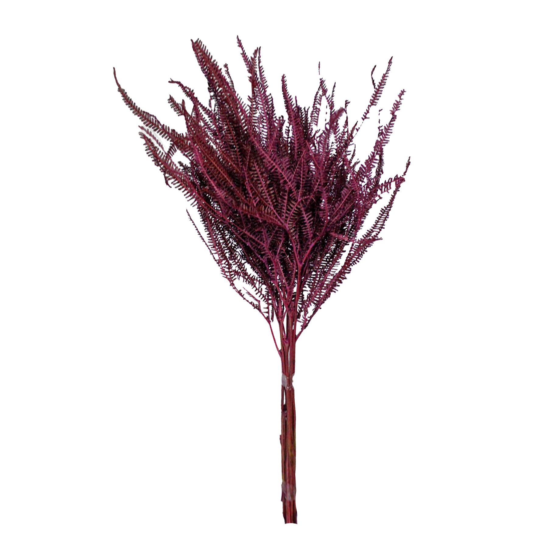 Planta Seca Samambaia Tres Andares Vermelho 50cm