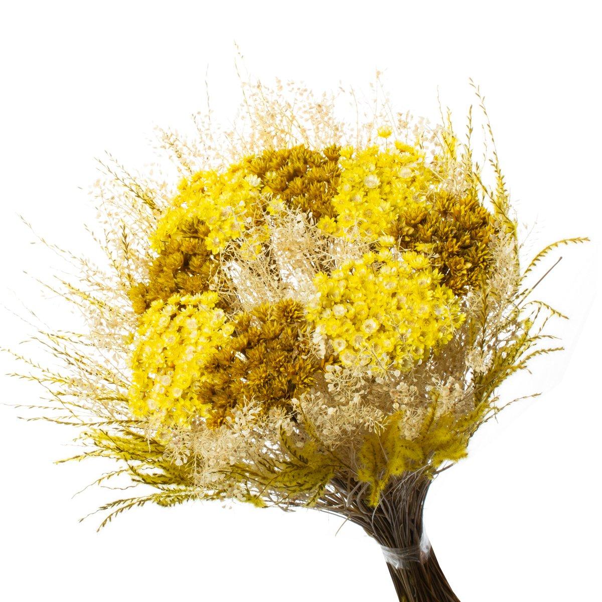 Buque Flor Seca Desidratada sementinha Amarelo Decoração