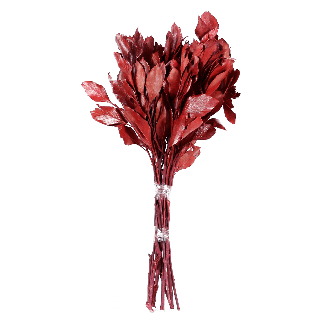 Planta Seca Carne de Vaca Vermelho 50cm