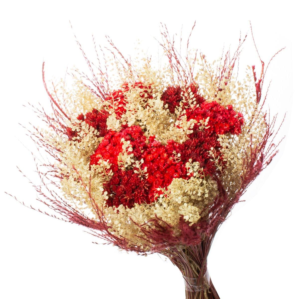 Buque Flor Seca Desidratada sementinha vermelha Decorar