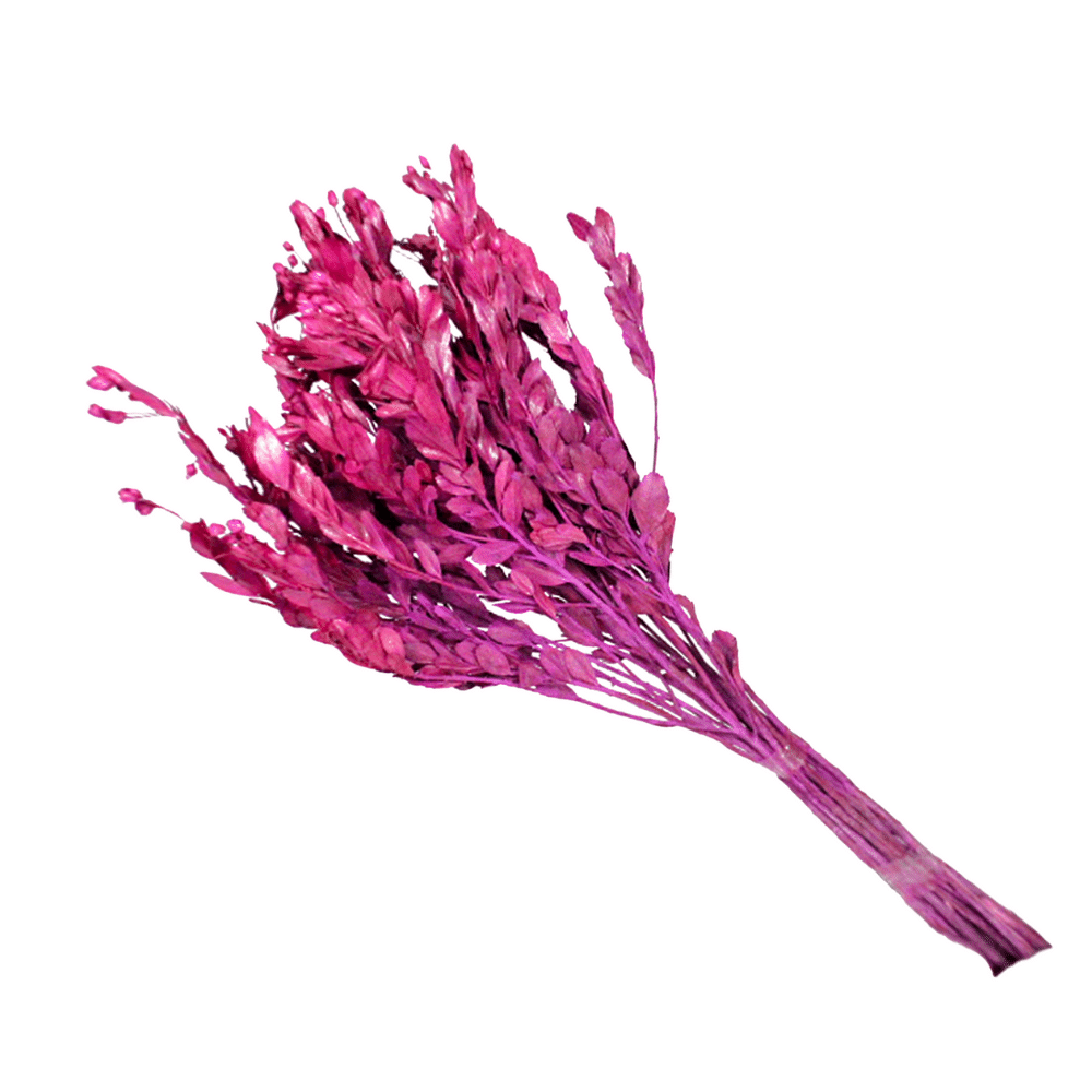 Alecrin Rosa Desidratado