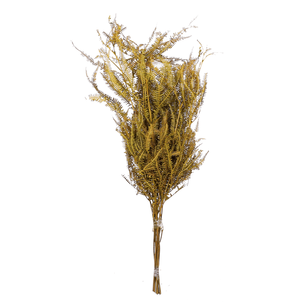 Planta Seca Samambaia Tres Andares Amarelo 50cm