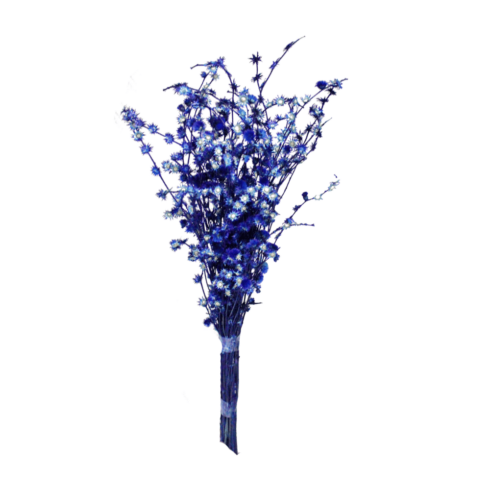 Rosinha Azul Desidratado