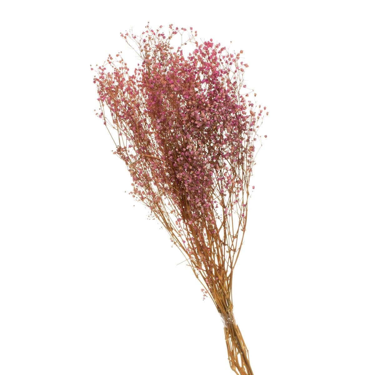 Gypsofila Lilás Desidratado p/ Decoração