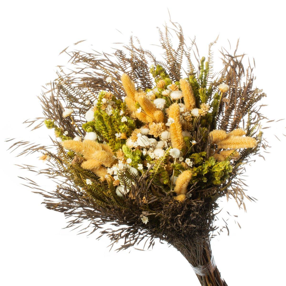 Buque de Flores Secas Rabo de Coelho Gato Natural  Decorar