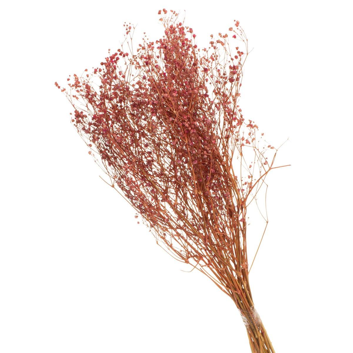 Gypsofila Rosa Desidratado p/ Decoração