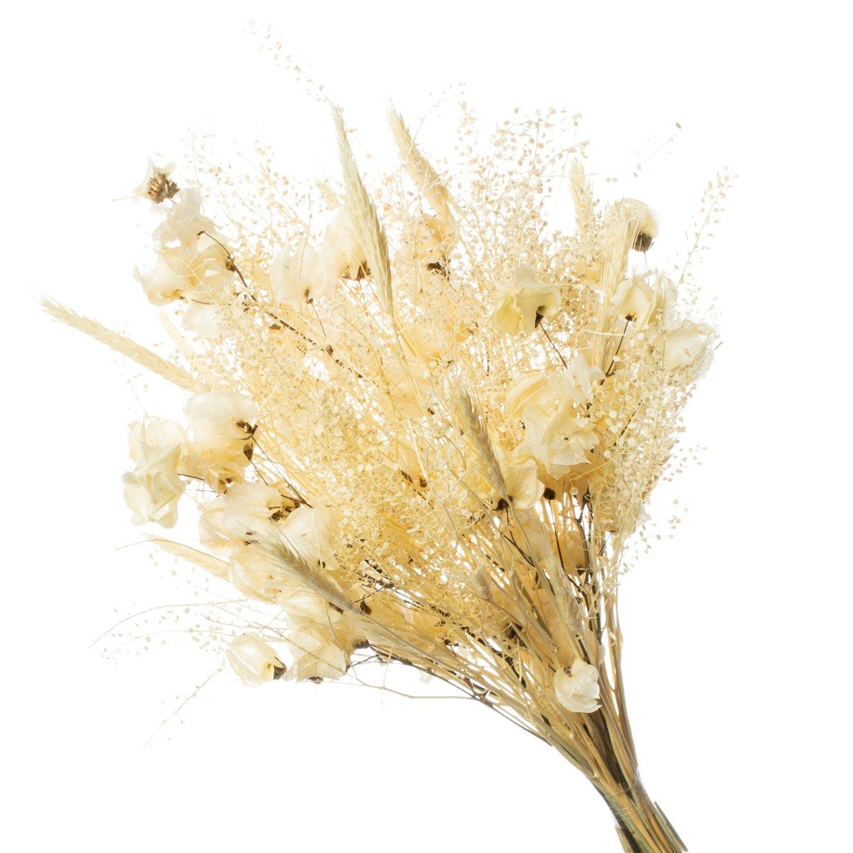 Buque de Flor Secas Desidratada Bougainville Natural