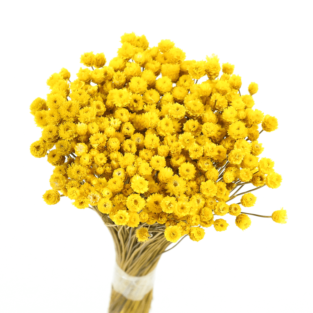 Planta Seca Jazida Amarelo 30cm