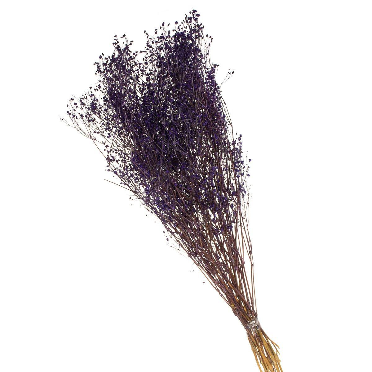 Gypsofila Roxo Desidratado p/ Decoração