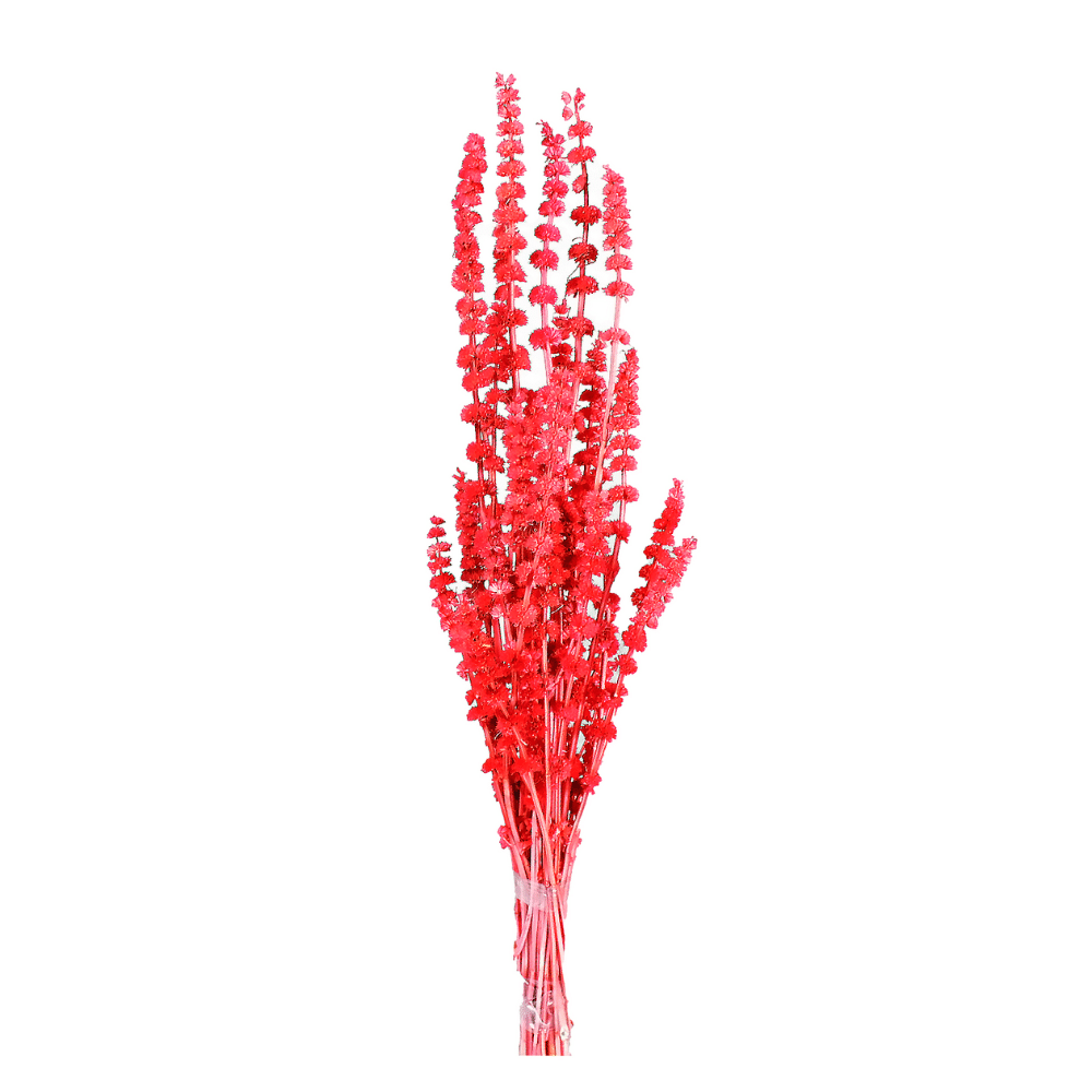 Rubi Vermelho Desidratado