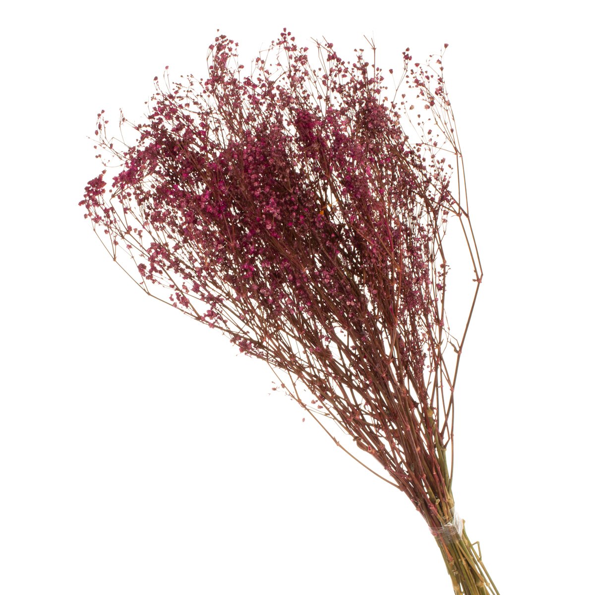 Gypsofila Pink Desidratado p/ Decoração